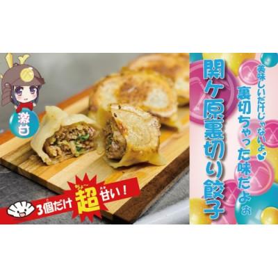ふるさと納税 関ケ原町 【関ケ原産ふわりもち使用】関ケ原裏切り餃子(激甘)【白餃子50個のうち、激甘3個入り】