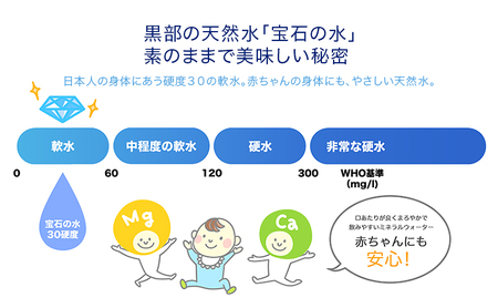 水 【20パック】宝石の水　1L×20パック/非常用 備蓄用 常温 常温保存 備蓄水/北陸/丸田工業株式会社/富山県黒部市 飲料 飲料水 飲料類 ミネラルウォーター 