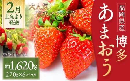 いちご 「あまおう」 約270g×6パック 計約1620g 苺 イチゴ 果物 フルーツ 【2027年2月上旬～2027年3月下旬発送】