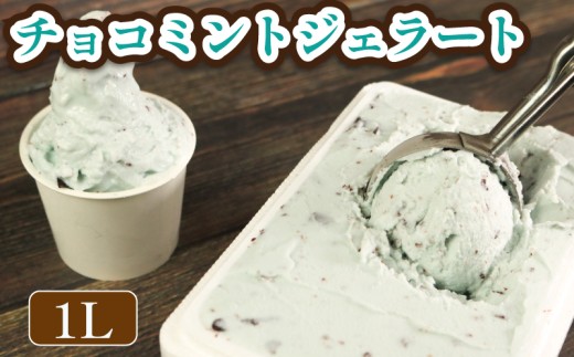 ジェラート イタリアンジェラート チョコミント 1000ml 1L 1箱 アイスクリーム アイス シャーベット デザート スイーツ お菓子 洋菓子 おやつ 牛乳 ミルク ギフト プレゼント お取り寄せ グルメ 冷凍 徳島県 阿波市 イタリアンジェラートドルチェ