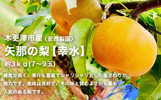 【先行予約】木更津市産　矢那の梨【幸水】〈安西梨園〉 KCO001