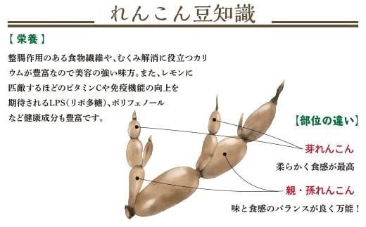 「大口れんこん」は、なんといっても食感が抜群！