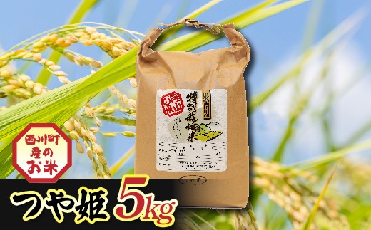 令和7年度 山形県西川町産 つや姫 5kg 精米 白米 ブランド米 米 ご飯 ごはん 自宅用 家庭用 FYN6-551