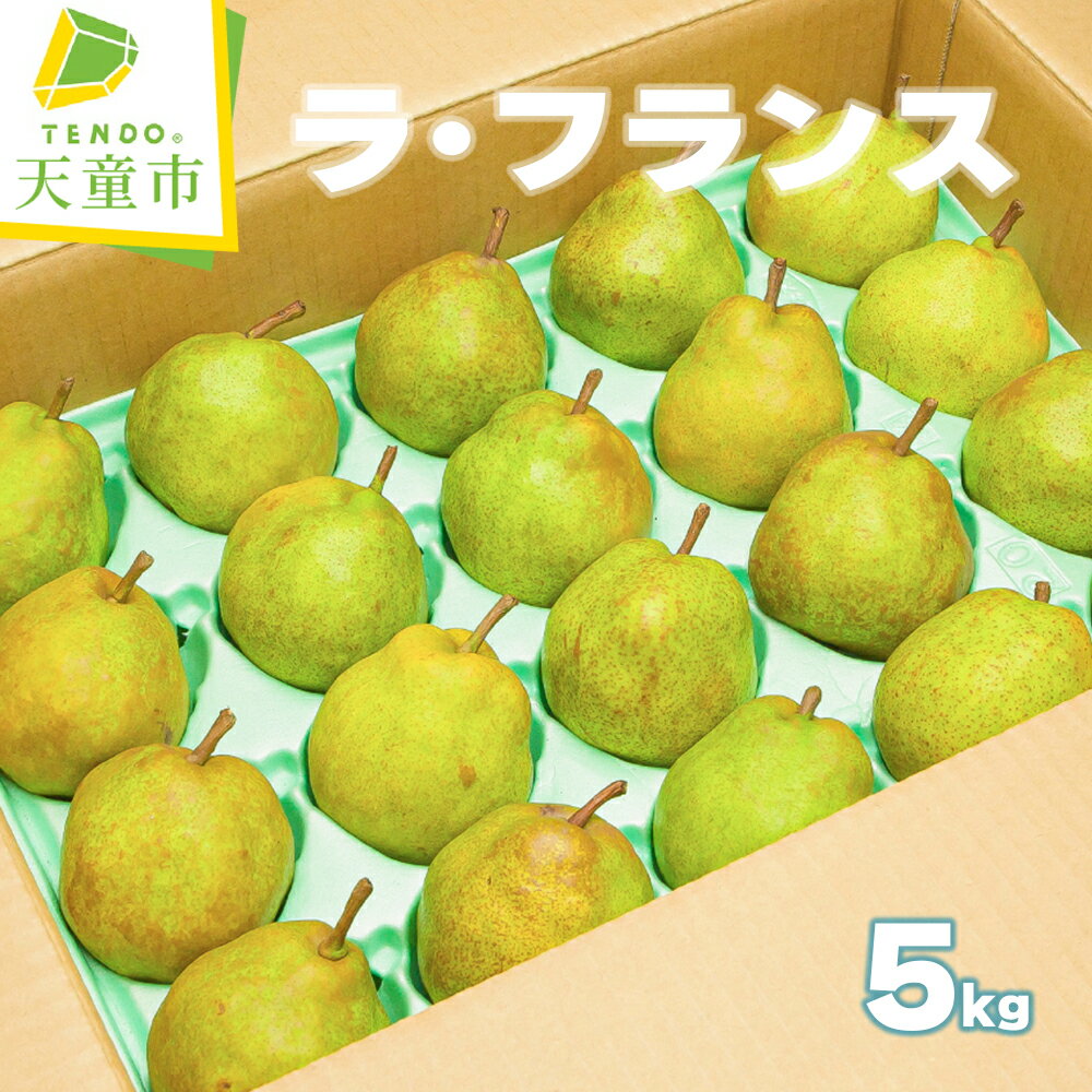 【ふるさと納税】 ラ・フランス 5kg ラフランス 洋梨 果物 フルーツ 秀 18玉 〜 20玉 ご家庭用 のし 贈答 ギフト プレゼント おすそ分け お取り寄せ 旬 秋 冬 期間限定 送料無料 先行予約 【 山形県 天童市 】