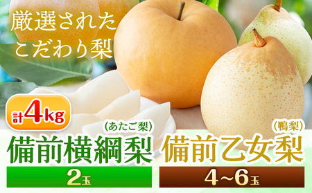 【先行予約】梨 なし 横綱梨 計4kg 備前横綱梨 2玉(1～1.5kg/玉) 備前乙女梨 4～6玉 石原果樹園 フルーツ 果物 新鮮《11月中旬-12月下旬頃より発送予定》岡山県 浅口市 果物 フルーツ 梨 詰め合わせ あたご梨 鴨梨