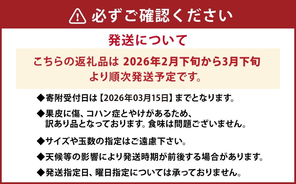 パール柑 約5kg 訳あり