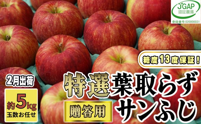 2月発送【 糖度保証 】贈答用 葉取らず サンふじ 約 5kg 【 特選 】鶴翔りんごGAP部会 青森県産 津軽産 リンゴ 林檎 果物 JGAP認証 安心 丸かじり 甘い 高糖度 ギフト