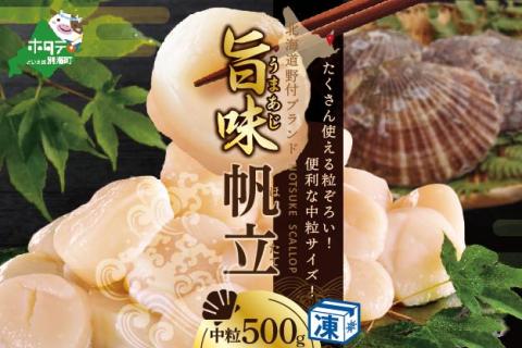 北海道 野付産  冷凍ホタテ 貝柱 中粒（3Sサイズ）ホタテ500ｇ【be018-0221】 水産事業者支援