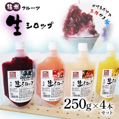 ふるさと納税 飯田市 信州フルーツ 生シロップ (かき氷用) 250g×4本セット