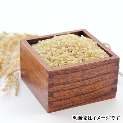 ふるさと納税 取手市 取手市産　コシヒカリ　玄米30kg |  | 01