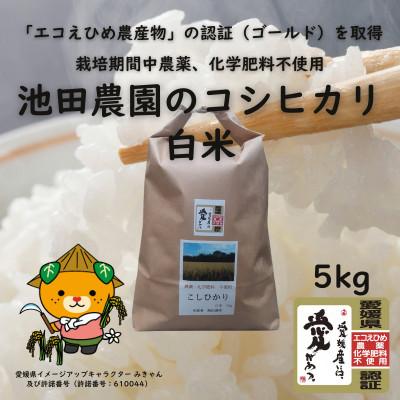 ふるさと納税 松山市 愛媛県産『エコえひめ農産物』の認証(ゴールド)を取得 池田農園の美味しいコシヒカリ白米 | 