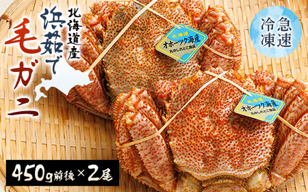 北海道産　浜茹で毛ガニ　450g前後×2尾_魚介・海産物 毛ガニ カニ けがに 毛蟹_【配送不可地域：離島・沖縄県】【1272325】