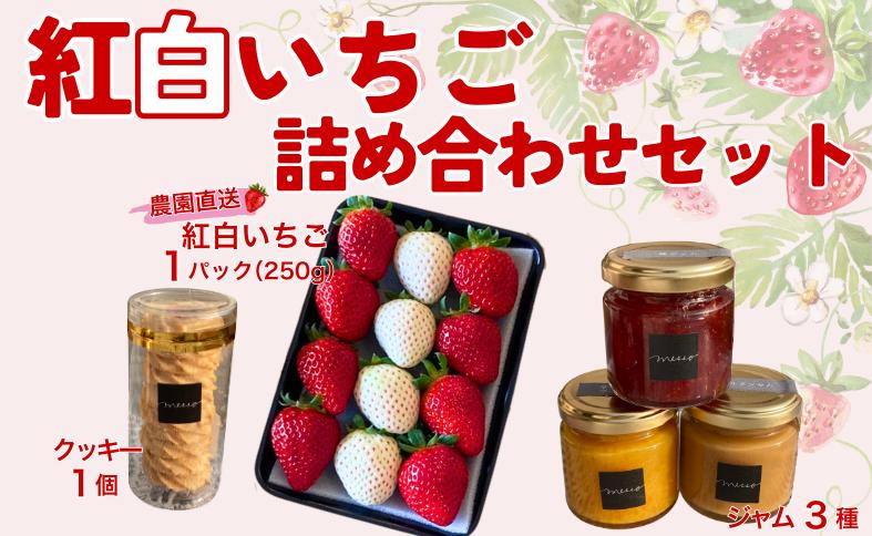 イチゴジャム 無添加 紅白いちご ミルクジャム 柑橘 マーマレード ロシアンクッキー くぼなか農園 数量限定 農園直送 愛媛 人気 伊予市｜B209