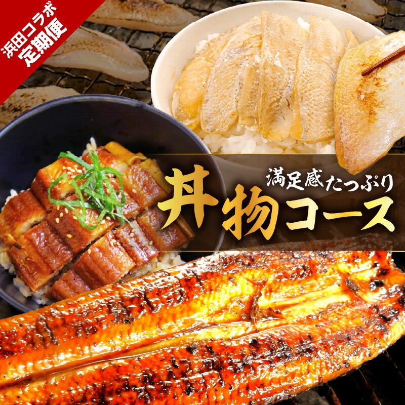 【ふるさと納税】 浜田コラボ定期便　満足感たっぷり丼物コース 【140_1540】