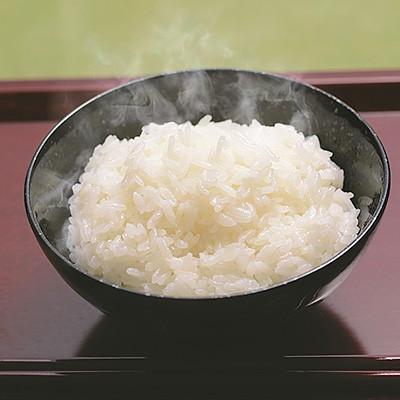 ふるさと納税 高松市 【発送月固定定期便】高松市自慢のお米【A】全12回