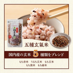 人気雑穀米&こだわり調味料お試し便 _ 雑穀米 3種 調味料 2種 お試し セット 詰め合わせ 人気 こだわり GABA雑穀米 美人雑穀米 五種玄氣米 八宝だし ナチュラルクック だし 和風だし 減塩