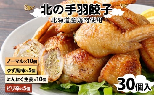 寄附額改定↓ 北海道産鶏肉を使った手羽先餃子【北の手羽ぎょうざ】30個セット(5個×6袋)≪配送地域限定≫【53103】
