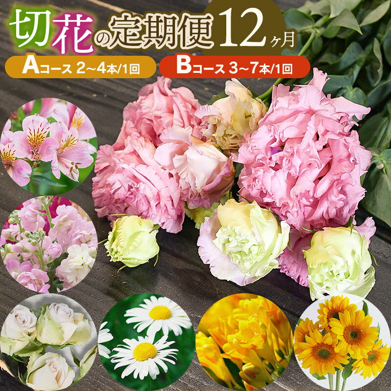 【ふるさと納税】鶴岡産切花の定期便12ヶ月　お選びください［Aコース(2～4本)］［Bコース(3～7本)］　花蔵（HANAZO）　　K-722・K-733