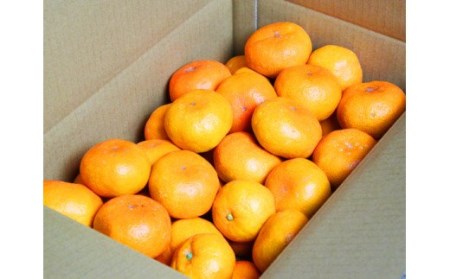 【ご家庭用訳アリ】紀州有田産濃厚完熟温州みかん　7.5kg　※2024年11月下旬頃～2025年1月下旬頃に順次発送(お届け日指定不可)【uot704】