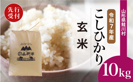 ＜令和7年産米先行受付＞ 山形県産 こしひかり 【玄米】 10kg （10kg×1袋） 配送時期指定できます！