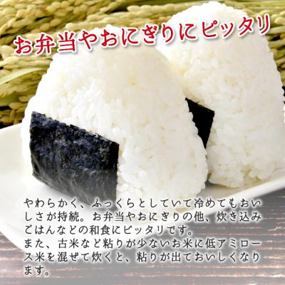 ふるさと納税 東白川村 東白川村産 ミルキークイーン 白米 お試し 2合 300g |  | 02