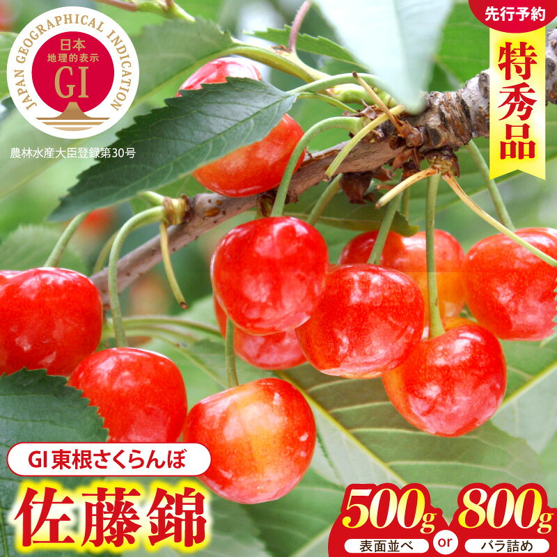 【ふるさと納税】【2027年産】GI東根さくらんぼ 佐藤錦 ( 500g 表面並べ / 800g バラ詰め ) L以上 特秀品 | フルーツ 果物 くだもの サクランボ チェリー 小分け 箱入り 化粧箱 期間限定 冷蔵配送 大容量 ご当地 特産 産地 お取り寄せグルメ 東北 山形県 東根市