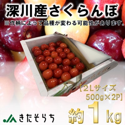 【令和6年産先行受付】北海道深川産さくらんぼ(2Lサイズ・500g×2パック)【配送不可地域：離島・沖縄県】