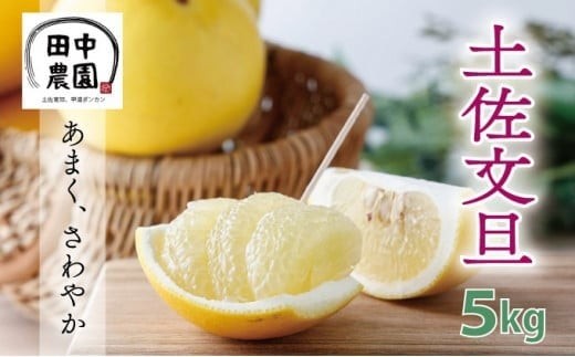 
土佐文旦＜5kg＞ 国産 東洋町産 土左 文旦 甘み 酸味 果肉 グレープフルーツ 高知県 東洋町 四国 土佐 お取り寄せ 家庭用 自宅用 送料無料 産地直送 TA19
