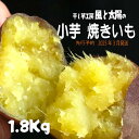 【ふるさと納税】2025年3月発送 先行予約 干し芋工房 風と太陽の小芋焼き芋 1.8kg