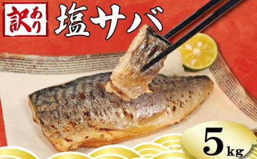 訳あり 塩さば フィーレ 選べる容量 約5kg 鯖 さば 塩鯖 フィレ 魚介類 魚 魚貝 魚介 海鮮 人気 冷凍 大容量 冷凍食品 おつまみ 酒 さけ おかず 惣菜 弁当 不揃い 規格外 訳アリ 訳有 傷 グルメ お取り寄せ 贈答 贈物 プレゼント 贈り物 長期保存 ギフト 小分け ふるさと納税 ふるさと納税鯖 送料無料 千葉県 銚子市 銚子東洋