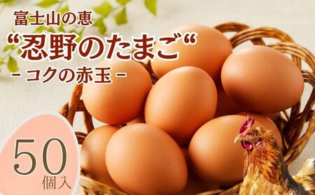 【忍野のたまご】コクの赤玉【50個入り】