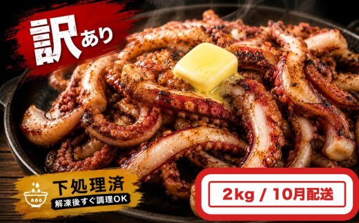 いか 〈 訳あり 〉10月配送 宮城県産 スルメイカ ゲソ 2kg 冷凍 国産 いか 下足 イカ イカゲソ カルパッチョ おつまみ 魚介類 焼イカ イカ料理  バーベキュー BBQ わけあり 不揃い 烏賊 炒め物 フライ ゲソ天 唐揚げ 石巻 宮城