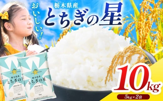 【栃木県共通返礼品】【令和7年度産】 訳あり 栃木県産とちぎの星 10kg |ふるさと 納税 とちぎの星 お米 精米 白米 玄米 大粒 共通返礼品 送料無料 那珂川町 栃木県
