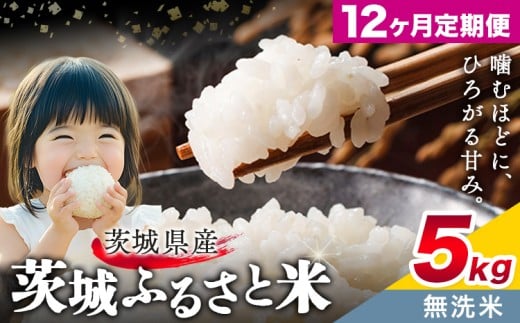 米 茨城 ふるさと米 無洗米 5kg 5kg×1袋 12回お届け 定期便《お申し込み月の翌々月から出荷開始》茨城県 結城市 米 国産 お米 おこめ お弁当 おにぎり【茨城県共通返礼品】