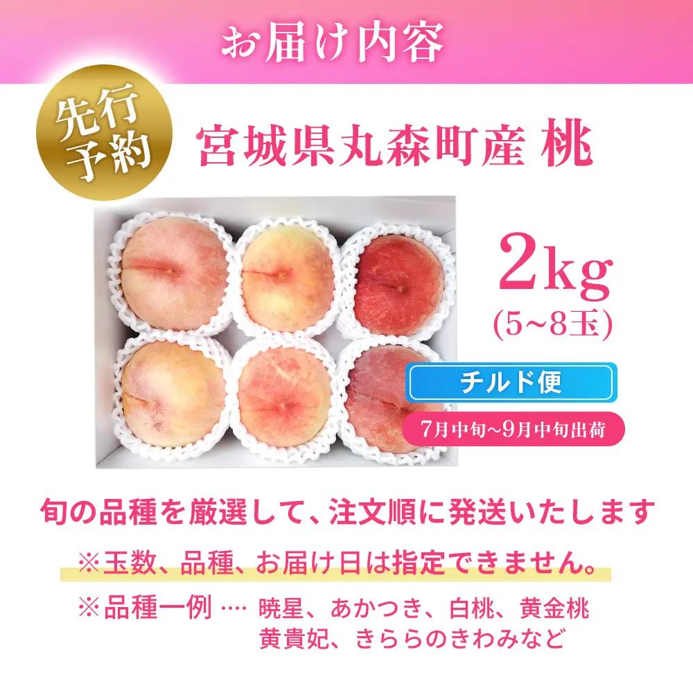 【先行予約】《7月中旬～9月中旬出荷》 宮城県丸森町産 桃 5～8玉（約2kg）【4800403】