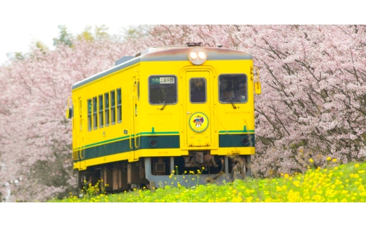 ISUMI Glamping Resort & Spa SOLASの宿泊補助券 15,000円分【1774237】