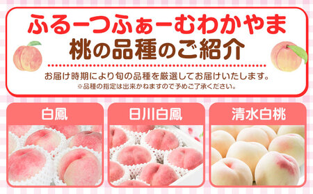 和歌山県の桃 3玉 手提げ袋入り もも 株式会社ふるーつふぁーむわかやま 《7月上旬-8月中旬頃出荷》 和歌山県 紀の川市