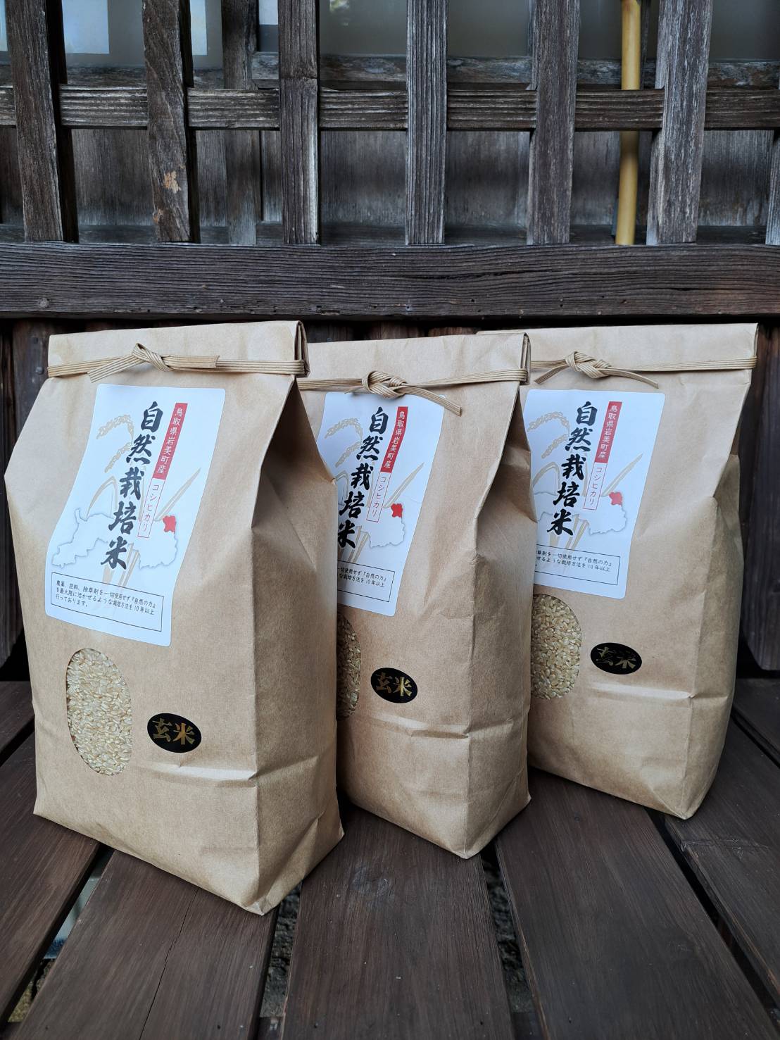 【先行予約】岩美町産自然栽培米こしひかり（玄米）３kg×３袋｜鳥取 岩美 令和8年産 お米 こめ 玄米【31008】
