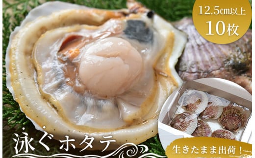 fc-39-024 ※貝毒発生中※ 泳ぐホタテ 特大10枚 ヤマキイチ商店