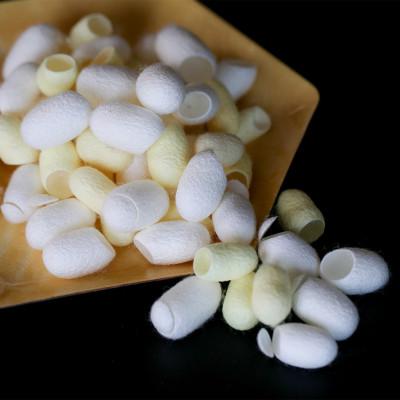 ふるさと納税 津和野町 【ふるさと納税限定】まゆ玉(切り繭)100個セット