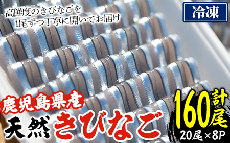 ＜冷凍＞鹿児島県阿久根産 天然きびなごのお刺身(計160尾・20尾×8パック) 国産 魚介 魚貝 海産物 鮮魚 刺身 天ぷら 冷凍配送 キビナゴ 海鮮丼 食品 セット 詰め合わせ 水産加工品【濱崎魚類】akn023-04