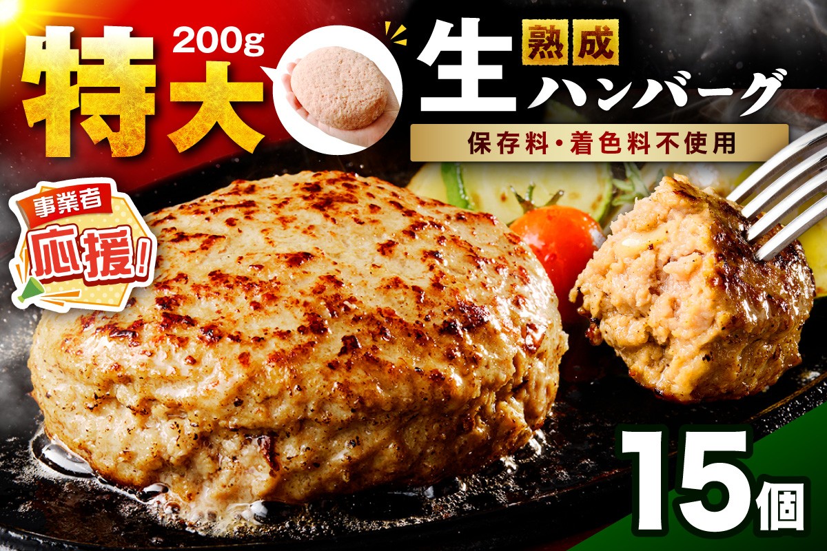 
                  【無添加】食べ応え抜群！ 生ハンバーグ 200g 15個【ふるさと納税3.0】【087C-061】
                