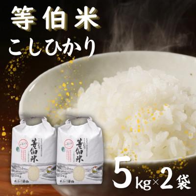 ふるさと納税 七尾市 【令和8年産】等伯米コシヒカリ10kg (5kg×2袋)