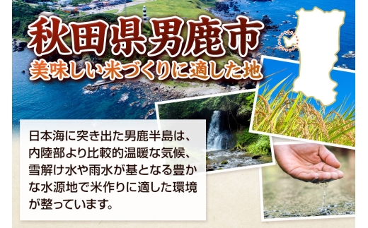 《令和8年産新米先行受付》【定期便5ヶ月】 あきたこまち 精米（白米）20kg（5kg×4袋）令和8年産 秋田食糧卸 [新米 先行受付 あきたこまち ブランド米 お米 白米 精米 米どころ 秋田 秋田