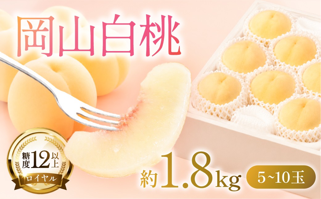 
                  桃 2026年 先行予約 岡山 白桃 ロイヤル 5～10玉 約1.8kg JAおかやまのもも（早生種・中生種） もも モモ 岡山県産 国産 フルーツ 果物 ギフト  [№5735-1213]
                