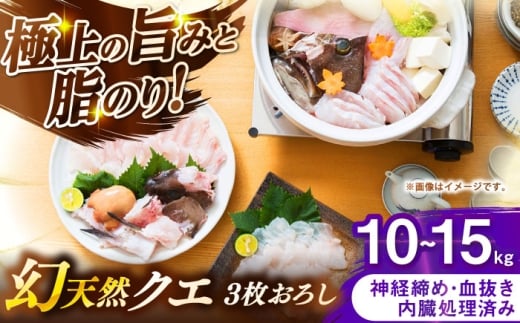 壱岐産　幻天然クエ　3枚おろし　10kg～15kg《壱岐市》 【みやげ処 縁由】 [JBJ021]
