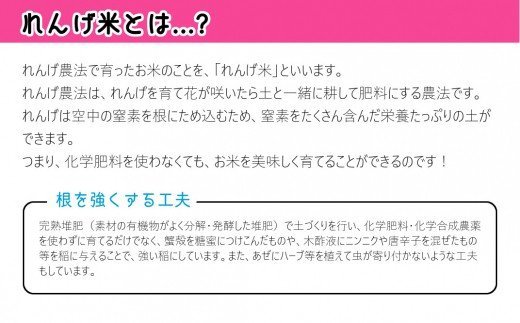 【令和６年産】化学肥料・農薬不使用！こだわり農法の「れんげ米」（2kg）