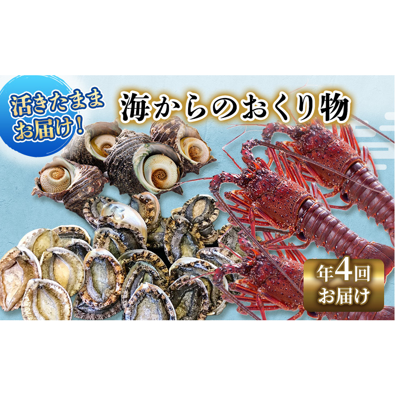 【アワビについて注意事項あり】伊勢海老 アワビ サザエ 定期便 年4回 海からのお届け物 伊勢エビ 3～8匹 さざえ 4～15個 あわび 3～5枚 伊勢えび 海老 エビ えび 鮑 貝 魚介 魚介類 海鮮 海鮮セット セット 詰め合わせ 冷蔵 刺身