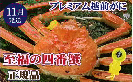 越前がに本場の越前町からお届け！ 越前がに × 1杯（四番蟹）至福のプレミアム越前がに【かに カニ 蟹】【福井県 越前町 雄 ズワイガニ 生 ボイル 冷蔵 越前ガニ 越前かに 越前カニ ずわいがに ずわい蟹 かに カニ 蟹】【11月発送分】【生でお届け】希望日指定可 備考欄に希望日をご記入ください [e37-x003_11a]