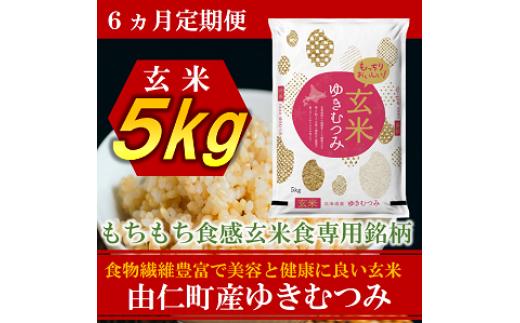 
                  TT13　【6か月定期】ゆきむつみ　5kg　計30㎏
                